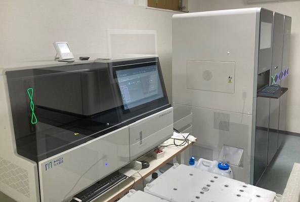 DNBSEQ-T7/G400ゲノムリード