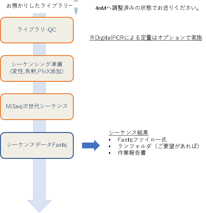 次世代シークエンスの流れ