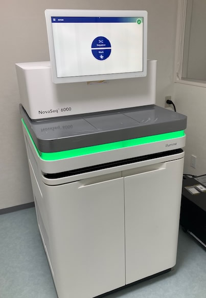 Illumina社NovaSeq6000ゲノムリード