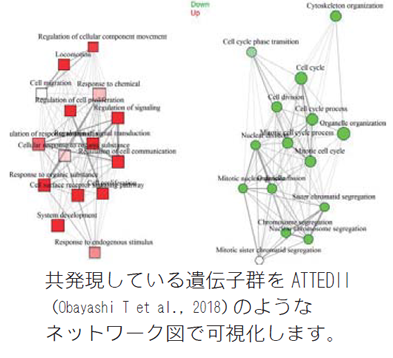 発現ネットワーク図