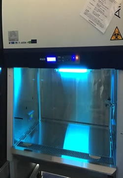 腸内細菌叢解析の結果