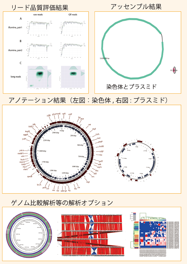 全ゲノムシーケンスで納品するデータ例