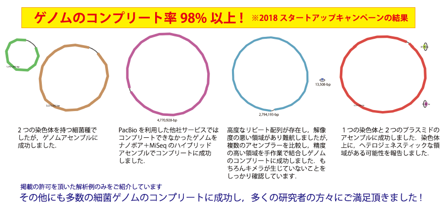 コンプリートゲノムで98%以上にアセンブル成功