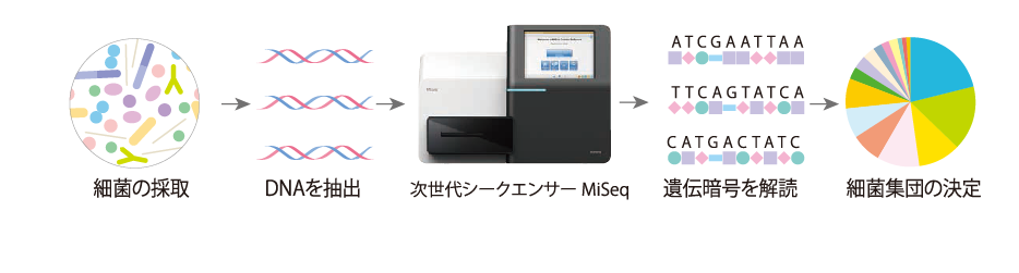 細菌叢解析の流れ