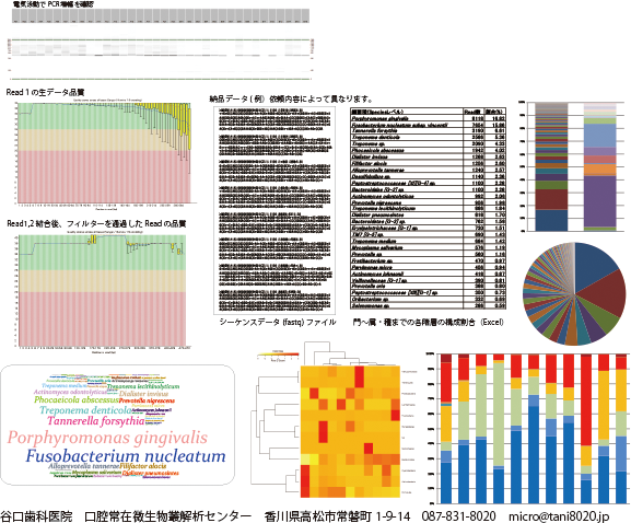納品データの一例　ご依頼内容により異なります。